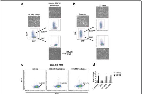 Fig. 4 The Z-cad sensor identifies differential plasticity in HMLER EMT subpopulations upon TGFβ1 exposure