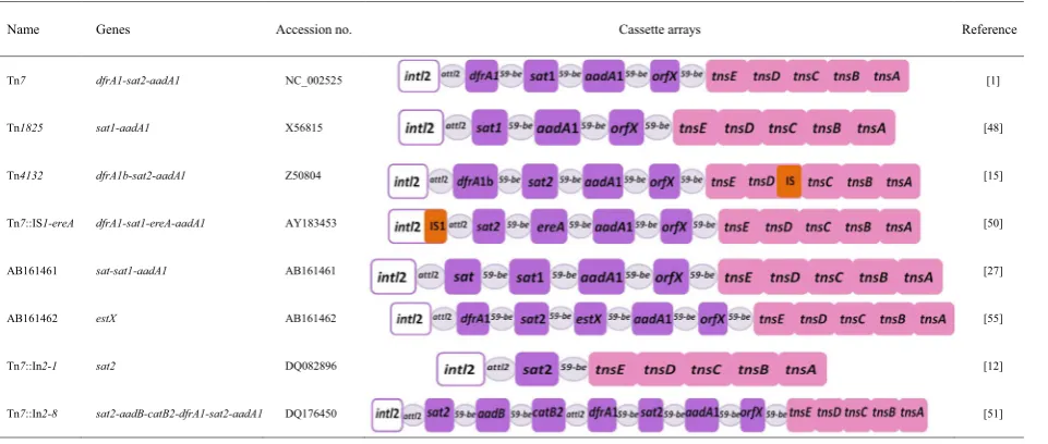 Table 3 Summary of different structures of class 2 integrons reported in previous studies