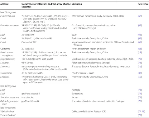 Table 4 Occurrence and prevalence of class 2, 3, and 4 integrons in Gram-positive and Gram-negative bacteria
