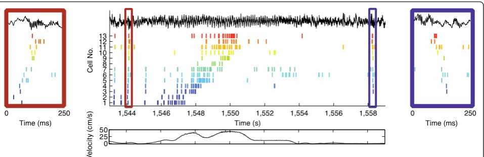 Fig. 5. Place cell sequences experienced during behavior (traversal. The CA1 local field potential is shown on top (middle panel) are replayed in both forward (left panel) and reverse (right panel) directionduring awake SPW-R