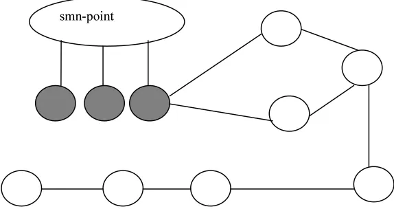 Fig 2 Start And Intermediate Median Network Point Representation In RMMR Protocol 