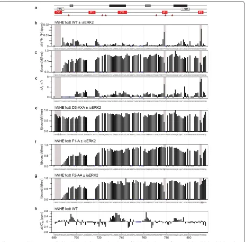 Fig. 2 Inactive ERK2 interacts preferably with the D3-domain and two F-sites of hNHE1cdt