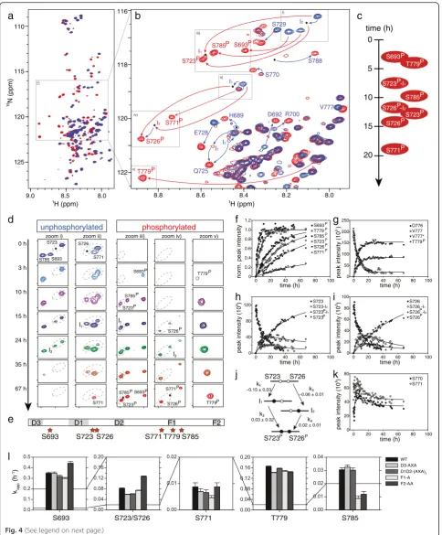 Fig. 4 (See legend on next page.)