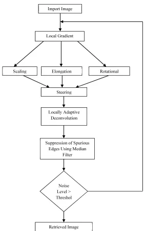 Figure 1.6: Flowchart of Noise Suppressed Steering Kernel 