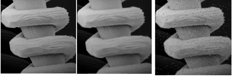 Figure 1.8 Results for noise corrupted rope image (a) Original image (b) Blurred image (c) Blurred with noise image (d) Blind Deconvolution (e) Inverse Filter (f) Lucy-Richardson Filter (g) NLKR Deblurring (h) Proposed method 