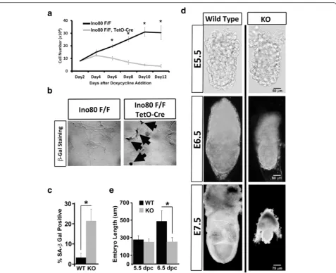 Fig. 1 Ino80 is essential for embryonic fibroblast and early embryonic development. a Growth curve of conditional Ino80 KO MEF induced bydoxycycline treatment