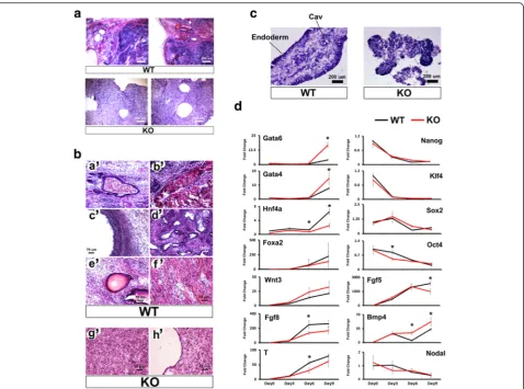 Fig. 3 Ino80 is essential for cell and tissue differentiation. a Low-magnification analysis of wild-type and Ino80 KO ESC differentiation as teratomasin NOD/SCID mice