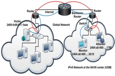 Figure 3: The Architecture of Flooding DDoS Direct Attacks 