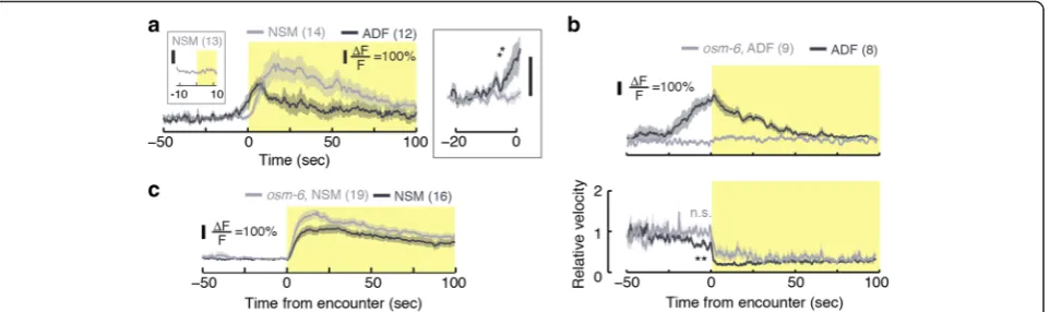 Fig. 4 The serotonergic neurons ADF and NSM respond physiologically during re-feeding.in ADF and NSM in(panel (and ADF::GCaMP (black) transgenics re-feeding on a large bacterial lawn
