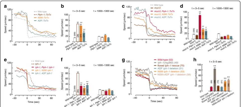 Fig. 5 Both ADF and NSM serotonergic neuron types affect the dynamics of slowdown.deletions of themultiple comparisons using Tukey a The mean speeds of transgenics in which NSM or ADFhave been genetically silenced