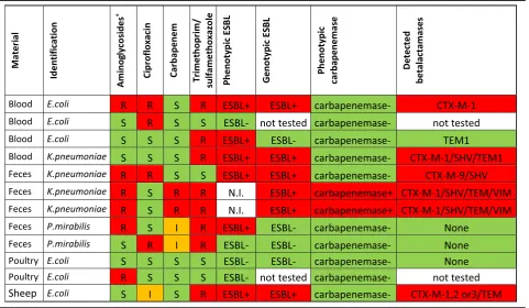 Table 3 Susceptibility patterns for pAmpC positive group I Enterobacteriaceae