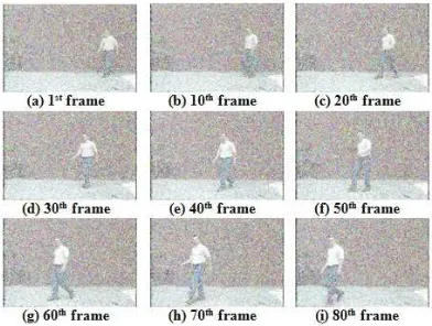 Figure 8: Sequence of frames from noisy video with 