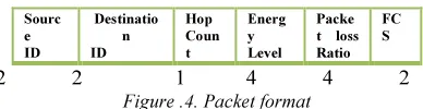 Figure .4. Packet format 