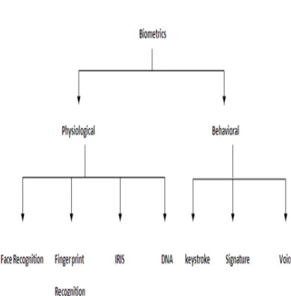 Figure 1: Classifications Biometrics 
