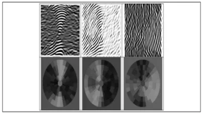 Figure 3:Gobar Map method for Finger Print and Iris 