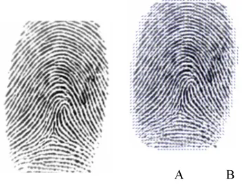 Figure 5: A. Original image and B. Oriented image 