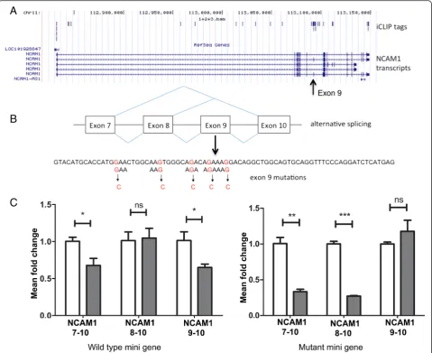 Fig. 4 SAFB1 regulates splicing from wild type and mutant NCAM1 minigenes. a The distribution of SAFB1 iCLIP tags within the NCAM1 minigene isshown and an arrow indicates the position of exon 9 in transcript variant 5