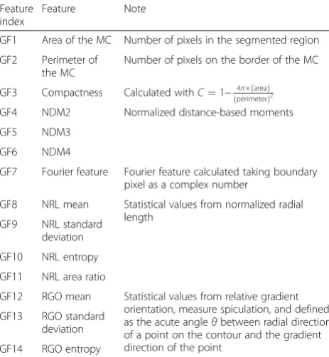 Table 1 Geometry features extracted from a MC boundary