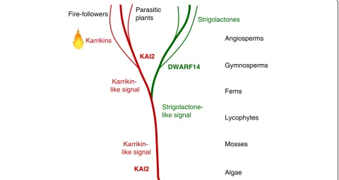 Fig. 7. Possible evolution of the karrikin response system in plants. The KAI2 gene can be traced back to single-celled algae