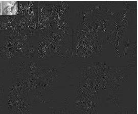 Figure 2: Pyramidal Decomposition of an Image 