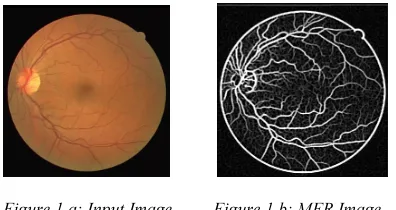 Figure 1.a: Input Image  
