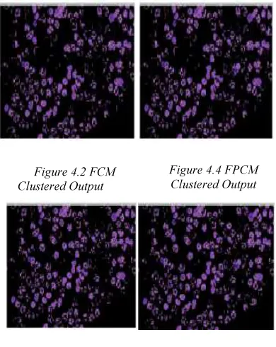 Figure 4.1 Sample Input Blood Cell Images 