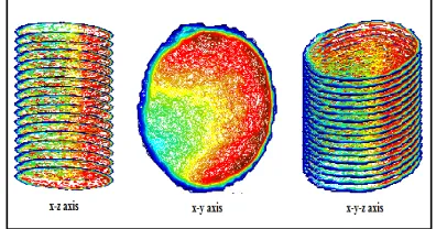 Figure 8. 4D Reconstruction From Blood Flow Image  Without Thrombus  