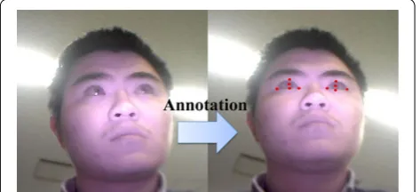 Fig. 3 Image capture in different conditions