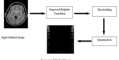 Fig 5: Medical Image Encoder 