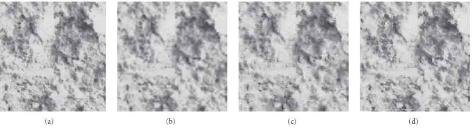 Figure 10: Impact of training patch on the performance of Algorithm 1: (a) originalAlgorithm 1 with a di D20 image; (b) reconstructed image by Algorithm 1(PSNR = 25.27dB); (b) reconstructed image by Algorithm 1 with a diﬀerent starting point (PSNR = 25.32dB); (d) reconstructed image byﬀerent training patch (PSNR = 23.79dB).