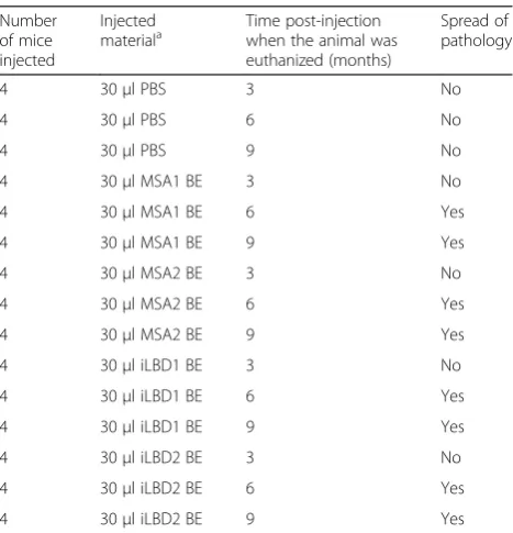 Table 2 Summary of intrastriatal injections into Tg(SNCA)1Nbm/J mice