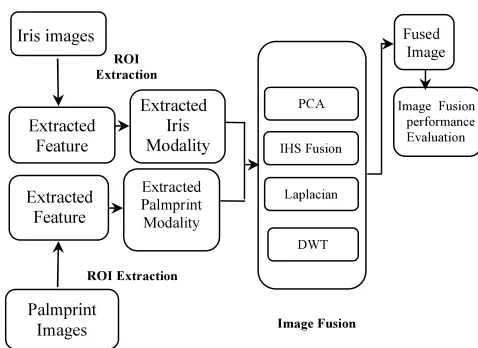 Figure 1: Block Diagram Of Fusion Of Iris And Palmprint Features 