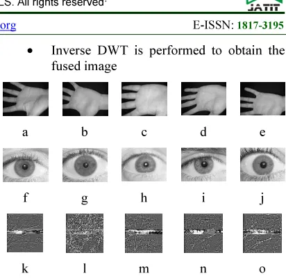 Figure  7: A-E Represents Input Palmprint Images,F-J 