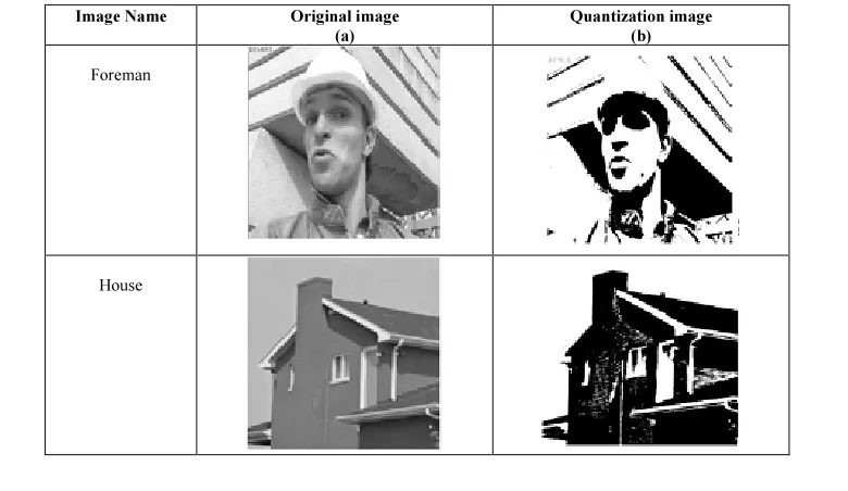 Fig. 4 (a) Input image and (b) DWT Quantization output image 