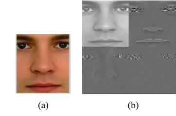 Figure 2: Skin Pixel Distribution 