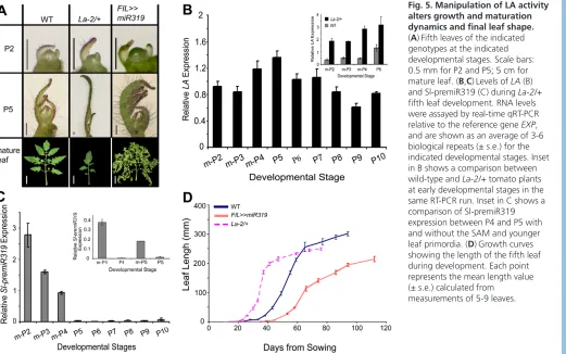 Fig. 5. Manipulation of LA activity