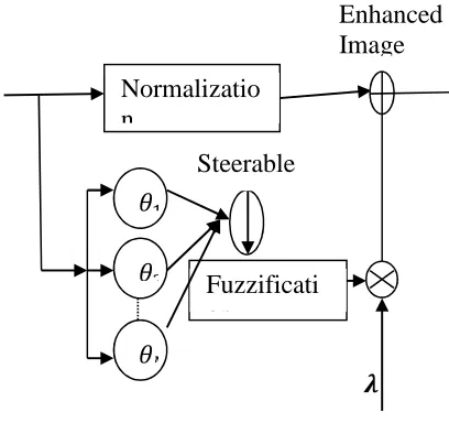Figure 1. The Block Diagram Of Steerable Filters Based Fuzzy UM. 