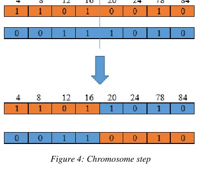 Figure 4: Chromosome step 