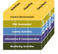 Figure 2.4 The COSO Framework  Source: COSO (2011) 