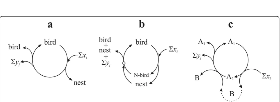 Figure 7 Autocatalytic nucleic acid systems. (a) RNA as a true replicator. (b) proteins (P) appear as side-products of RNA replication, whichfacultatively catalyze the formation of the new RNA molecule (dashed arrow)
