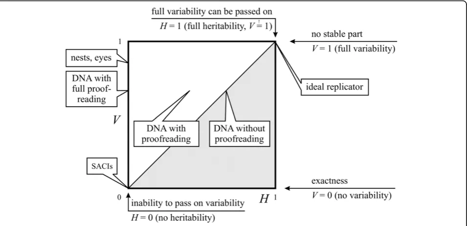 Figure 11 Semantic domains of the V H space. V: variable part size; H: heritable part size
