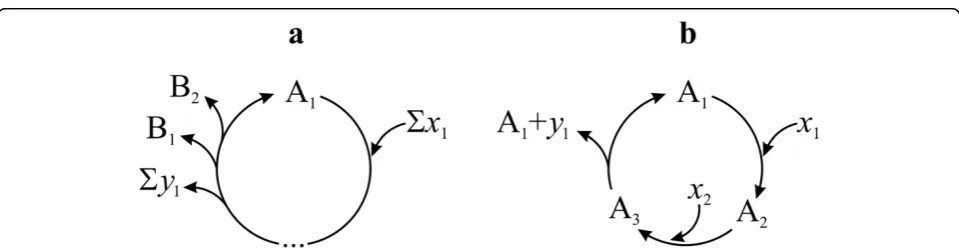 Figure 3 (a) A simple cycle, that can be autocatalytic if Bequivalency relation1 ~ A and/or B2 ~ A; or non-autocatalytic if B1 !~ A !~ B2, where ~ is the
