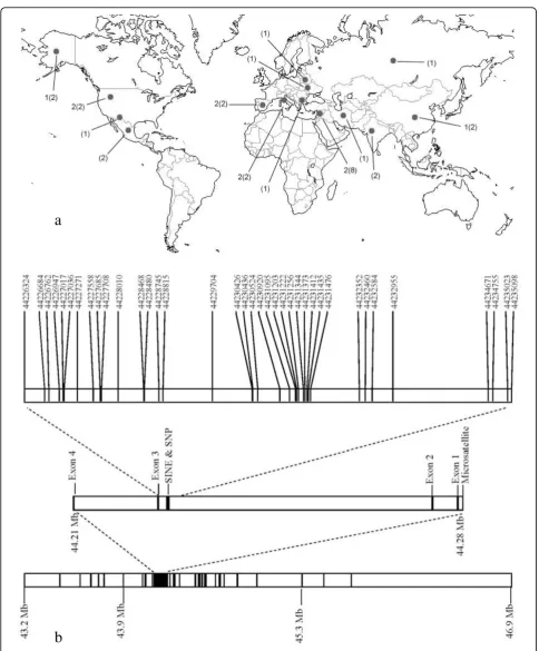 Figure 1 Sample map of grey wolf populations sequenced and schematic of insulin-like growth factor 1 (IGF1) molecular markers andexons