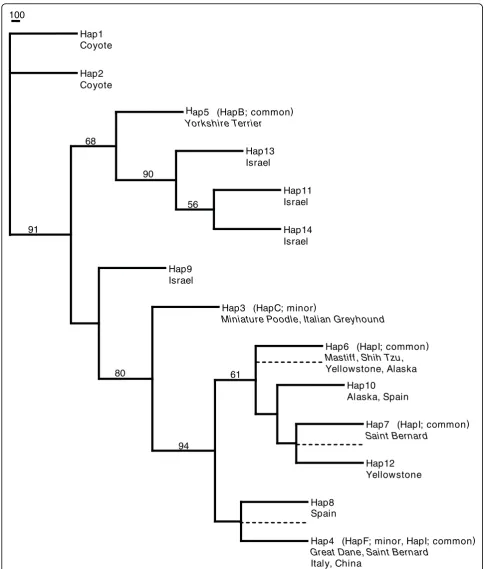 Figure 4 Insulin-like growth factor 1 ((>50%) is based on 1000 bootstrap replications and shown as a percentage