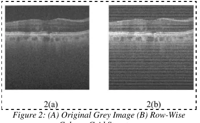 Figure 2: (A) Original Grey Image (B) Row-Wise Column Grid Structure 