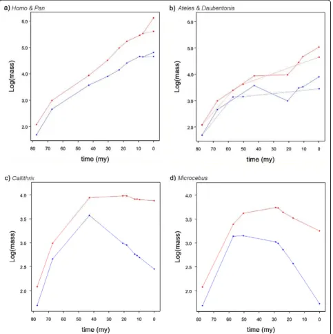 Figure 7 Evolutionary trajectories of brain and body mass. Evolution of brain (red) and body (blue) mass from the ancestral primate to a)Homo (solid line) and Pan (dashed line) and b) Ateles (solid line) and Daubentonia (dashed line) showing parallel increase in brain and bodymass; c) Callithrix, and d) Microcebus demonstrating secondary reduction in both brain and body mass: note the reduction in brain mass is lowerthan the reduction in body mass leading to an increase in relative brain size (see Additional file 1, Table S4).