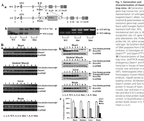Fig. 1. Generation and