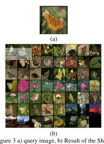 Figure 3 a) query image, b) Result of the Shape (b) Feature 