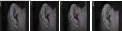 Fig. 6: Sample Ear Images From IIT Delhi Ear Database Version 1.0 
