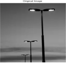 Figure 4: Street light image 